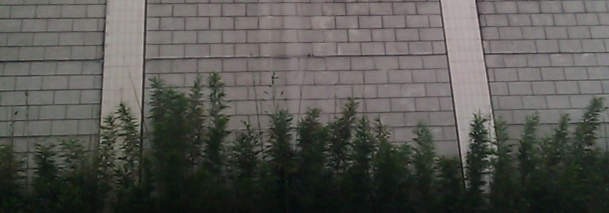 a wall in nob hill.